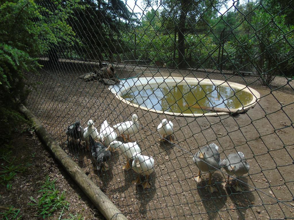 Quinta Da Chouza E Enoturismo * Castelbuono