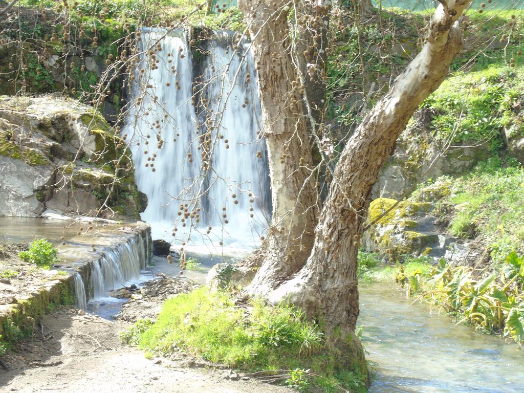 Séjour à la ferme Quinta Da Chouza E Enoturismo *