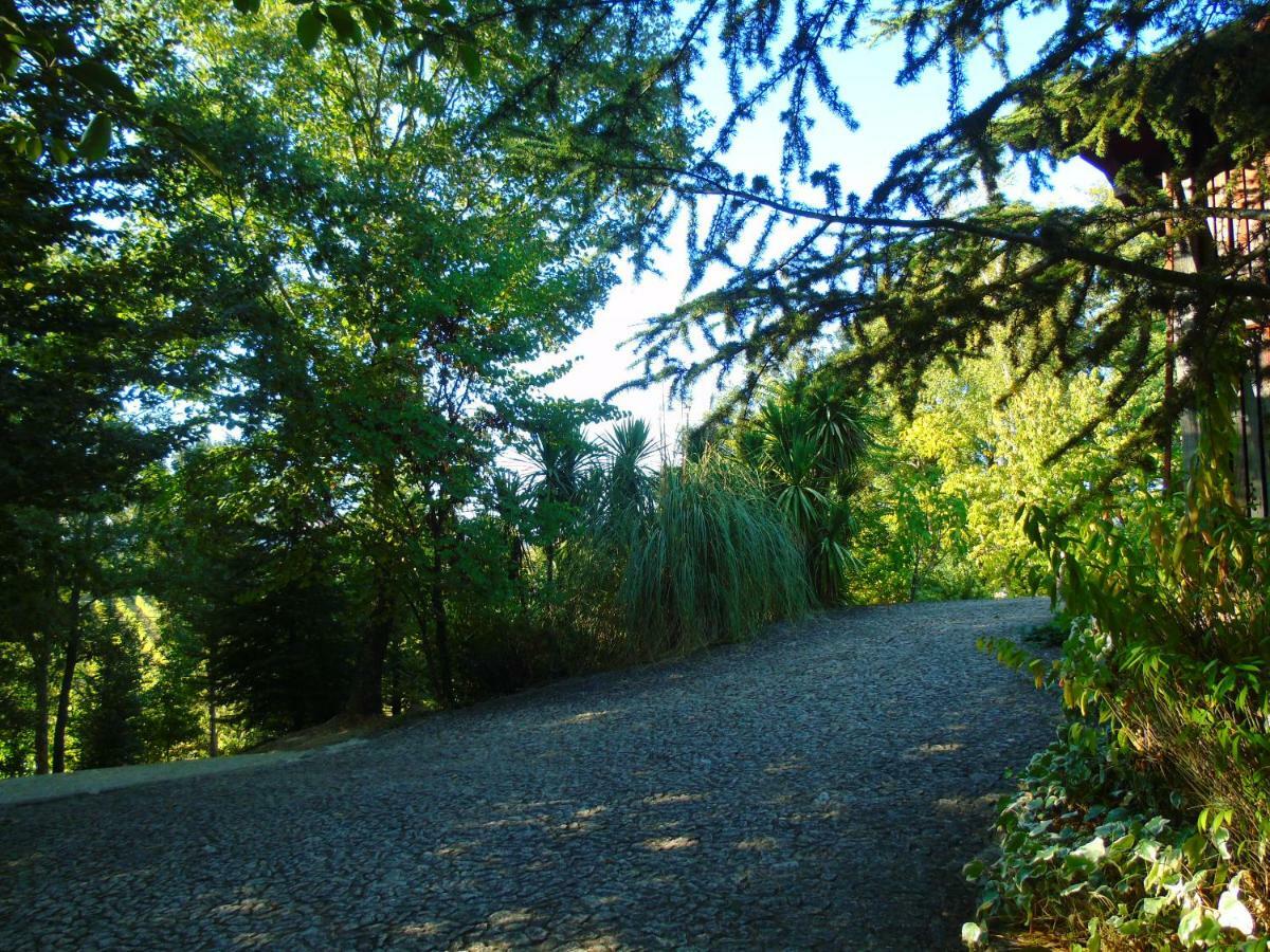 Quinta Da Chouza E Enoturismo *