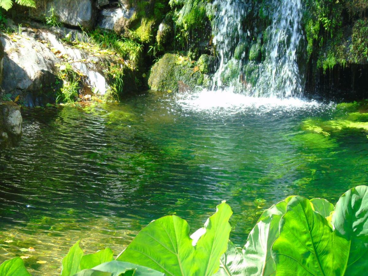 Séjour à la ferme Quinta Da Chouza E Enoturismo