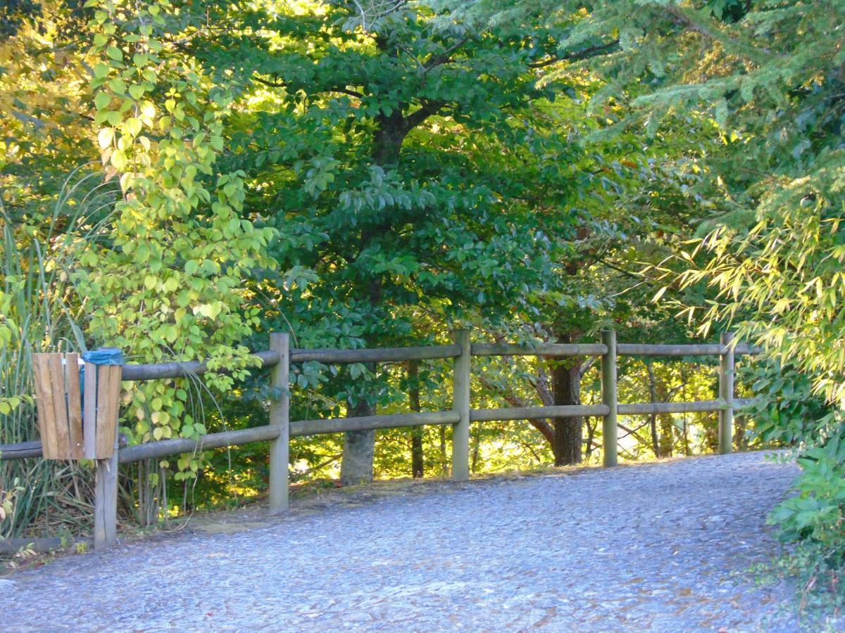 Quinta Da Chouza E Enoturismo
